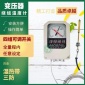 赛亚斯变压器绕组温控器测试仪厂家BWR-04系列