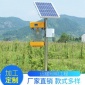 果园太阳能杀虫灯 农用太阳能杀虫灯 户外频振式防水杀虫灭虫灯